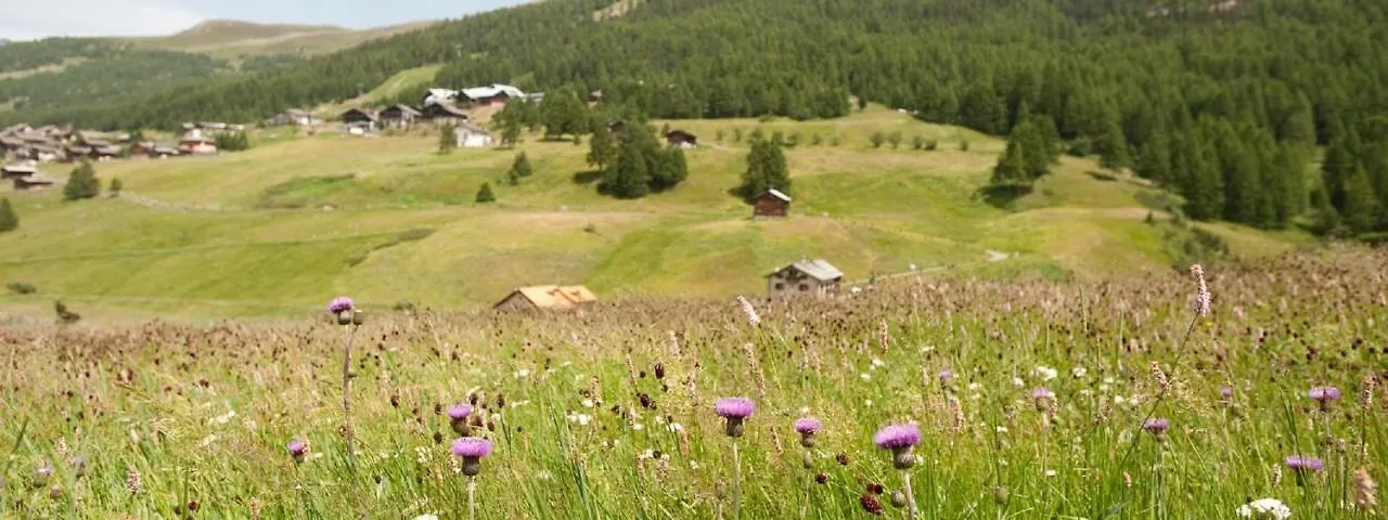 Apartmán Nadir - Casa Azzurra Livigno 0*,